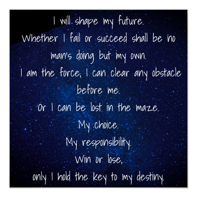 I Will Shape My Future Poster (Front)