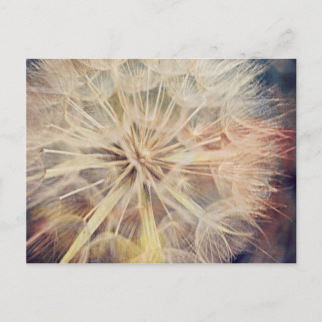 I Wish... - Postcard (Front)