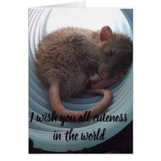 I wish you all cuteness in the world cards