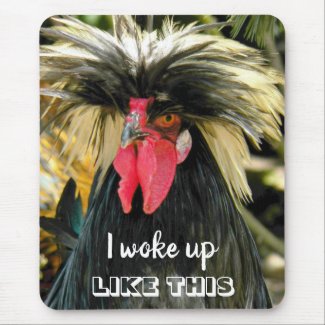 I Woke Up Like This Bad Hair Chicken Photo Mouse Pad