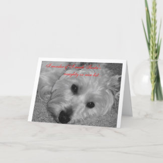 I wonder if I made Santa' s list? Holiday Card