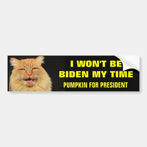 I Wont Be Biden My Time Bumper Sticker