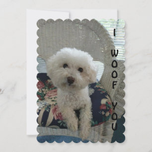 I Woof You Card