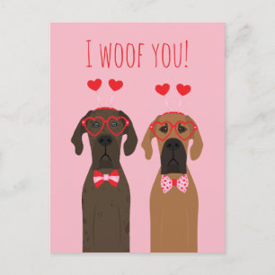 I Woof You Valentines Day Great Dane Dogs Postcard