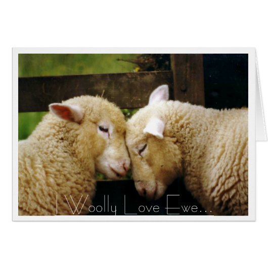 I Woolly Love Ewe Cards (Front Horizontal)