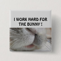 I work hard for the bunny
