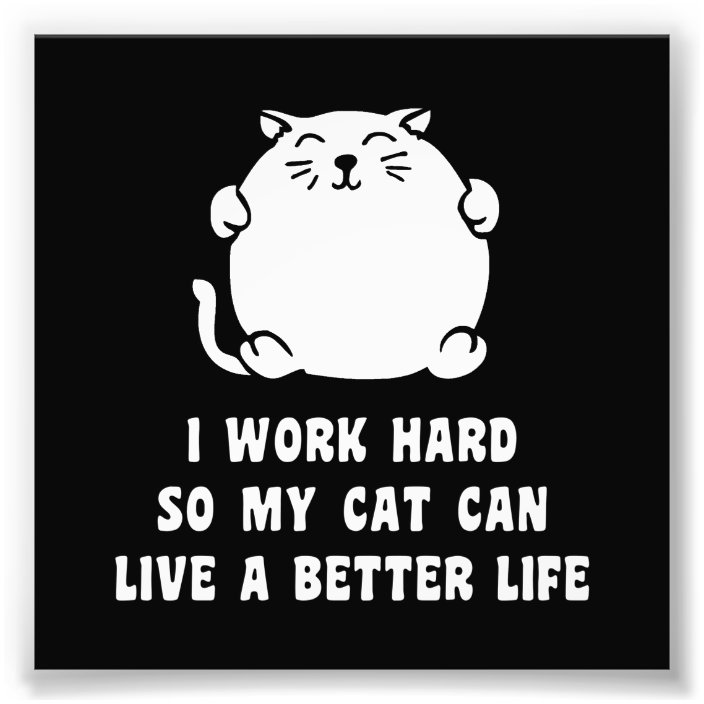I Work Hard So My Cat Can Live A Better Life Photo Print Zazzle Com