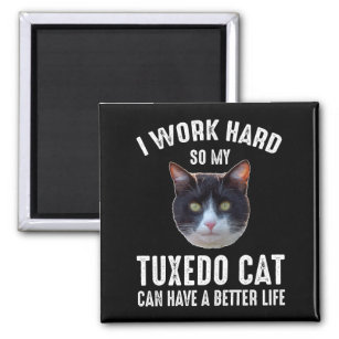 I Work Hard So My Tuxedo Cat Can Have Better Life Magnet