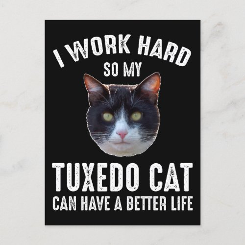 I Work Hard So My Tuxedo Cat Can Have Better Life Postcard