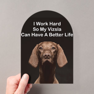I Work Hard So My Vizsla Can Have A Better Life Acrylic Invitations