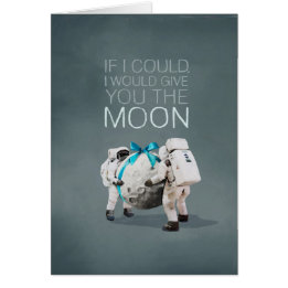 I would give you the moon cards