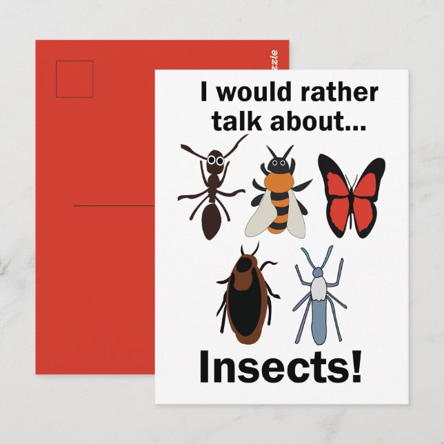 I Would Rather Talk About Insects Entomologists Postcard (Front/Back)
