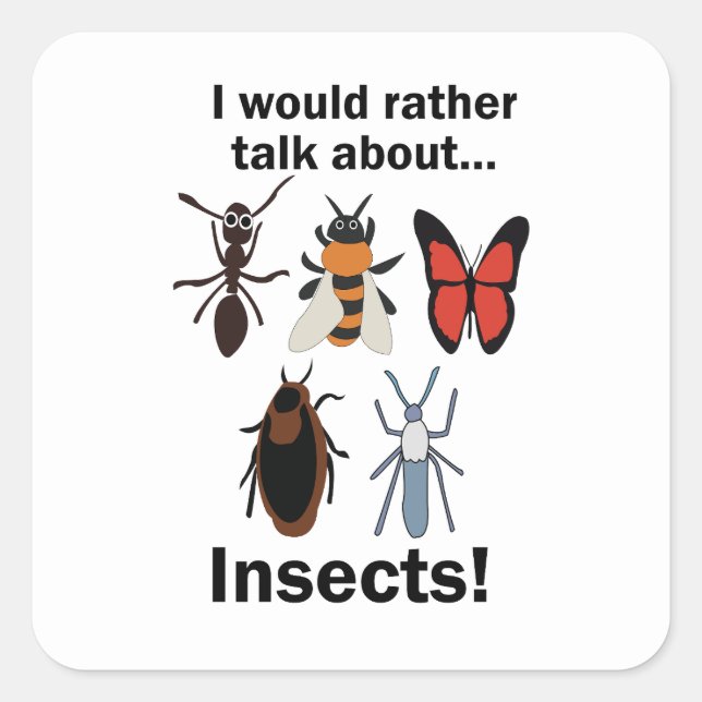 I Would Rather Talk About Insects Entomologists Square Sticker (Front)