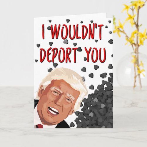 I Wouldnt Deport You Funny Trump Valentines Day Card