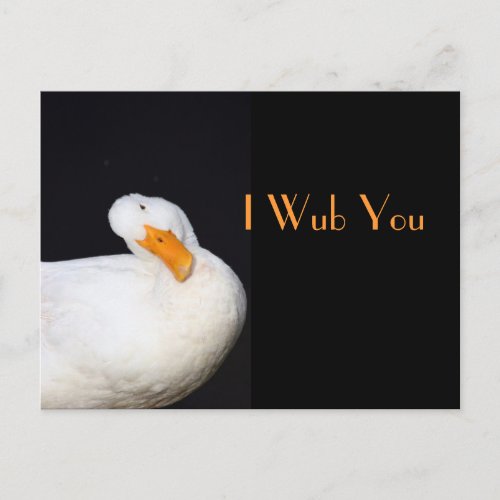 I Wub You Cute White Duck Postcard