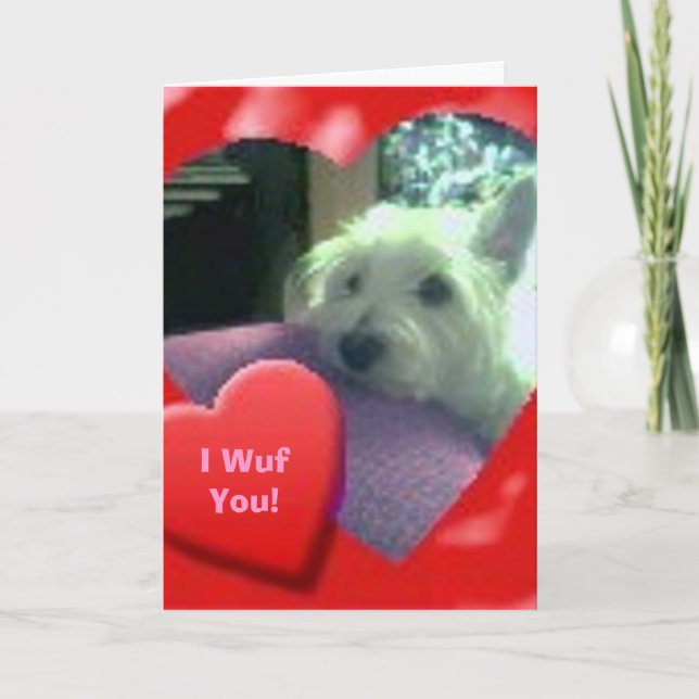 I Wuf You Valentines' Day Westie Card (Front)