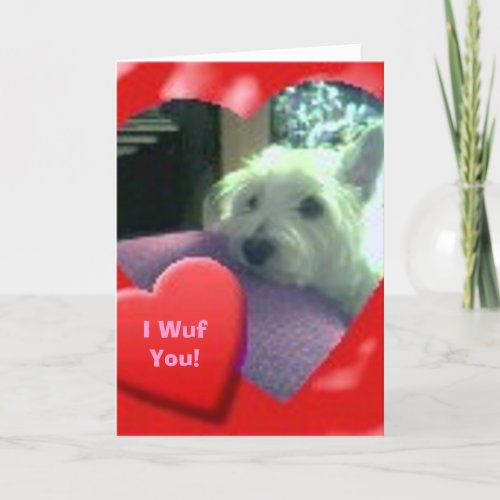 I Wuf You Valentines Day Westie Card