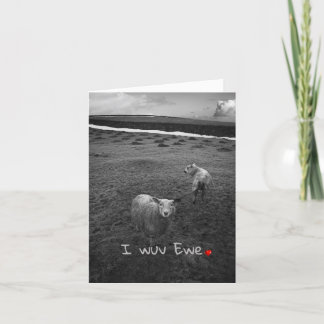 I wuv Ewe - funny Valentine Holiday Card