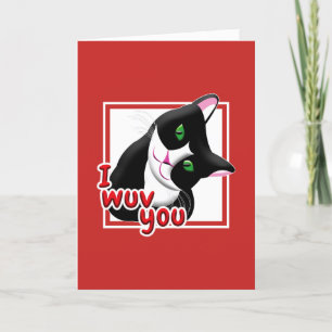 I Wuv You Valentine's Day Cat Holiday Card