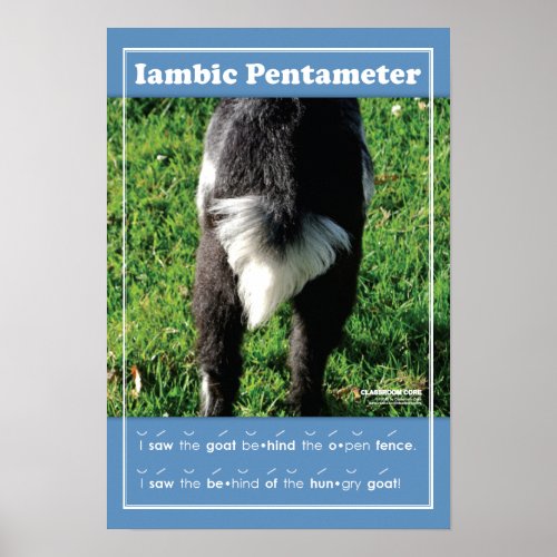 Iambic Pentameter 13 x 19 Classroom Poster