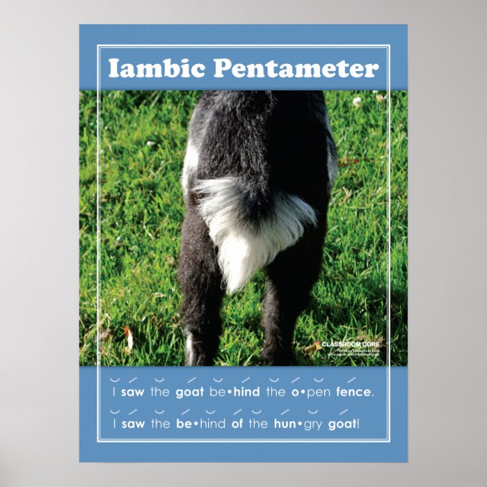 Iambic Pentameter 18" x 24" Classroom Poster