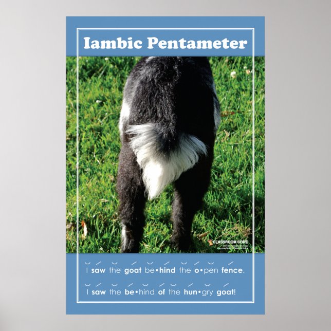 Iambic Pentameter 24" x 36" Classroom Poster (Front)