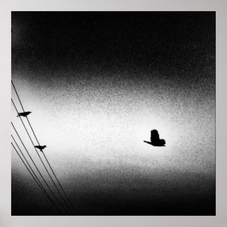 Ianiverse Noir (The Mission) Poster