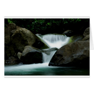Iao wai cards