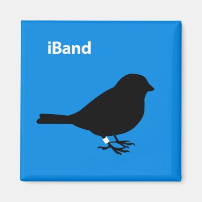 iBand Blue Magnet