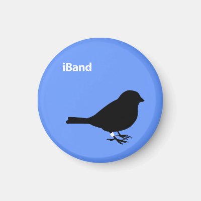 iBand Magnet