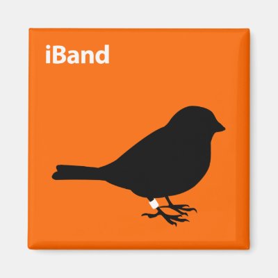 iBand Magnet