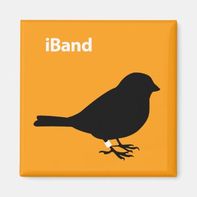 iBand Orange Magnet