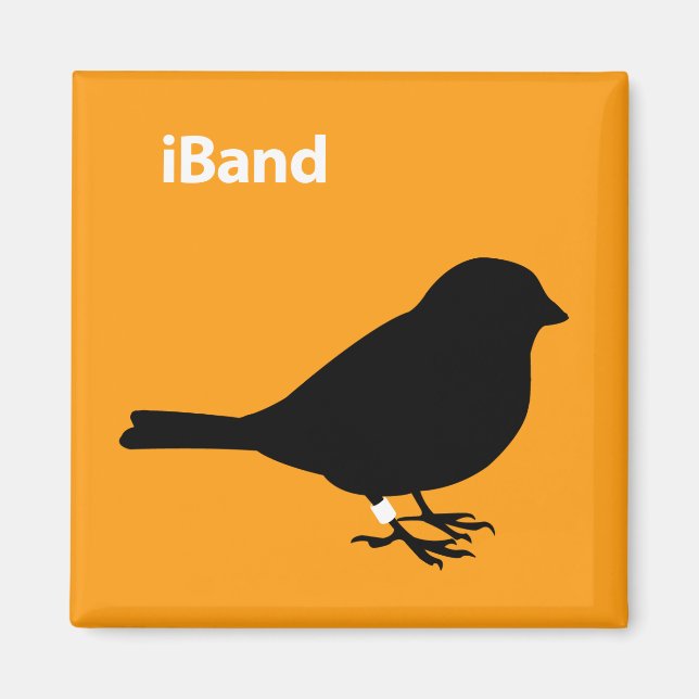 iBand Orange Magnet (Front)