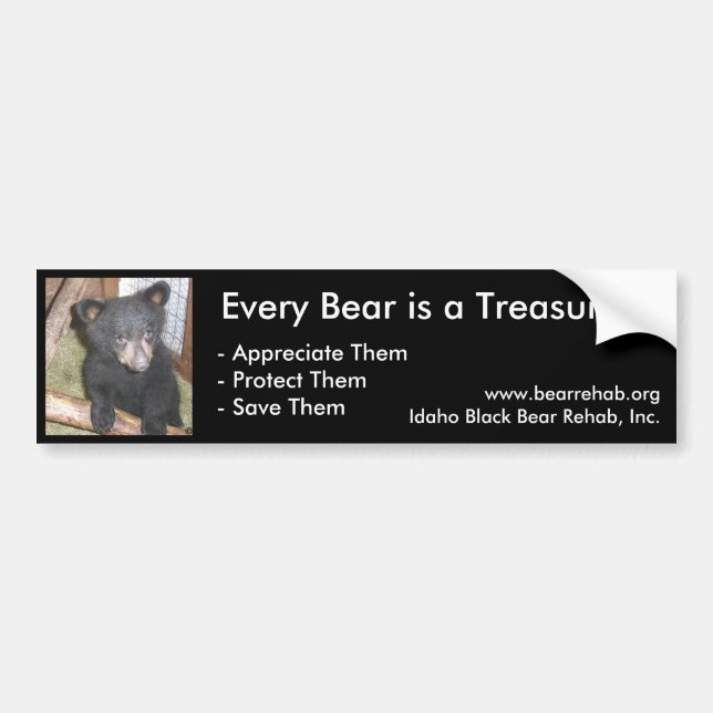 IBBR Bumper Sticker - Bear Cub (Front)