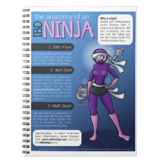 IBD Notebook