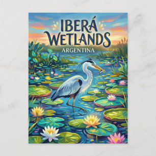 Iberá Wetlands Argentina Postcard