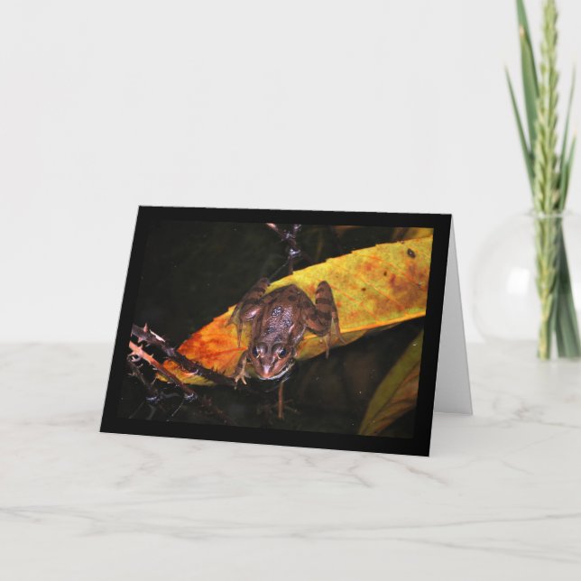 Iberian Water Frog on Leaf Card (Front)