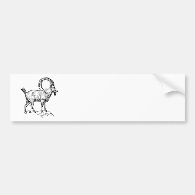 Ibex Bumper Sticker (Front)