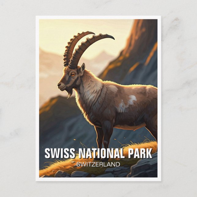 Ibex in Swiss National Park Switzerland Postcard (Front)