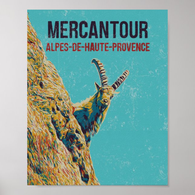 Ibex in the Mercantour, Alps, France Poster (Front)