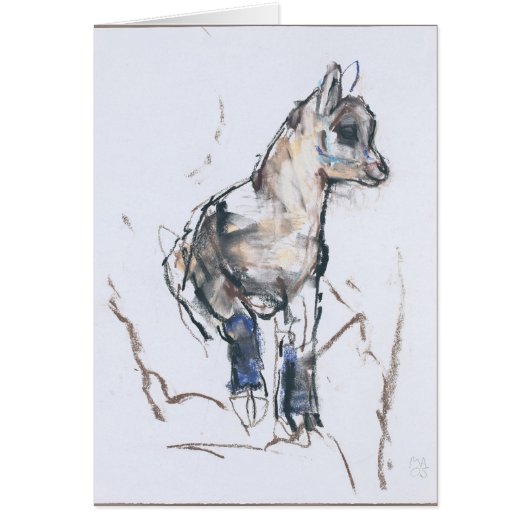 Ibex Kid Cards (Front)