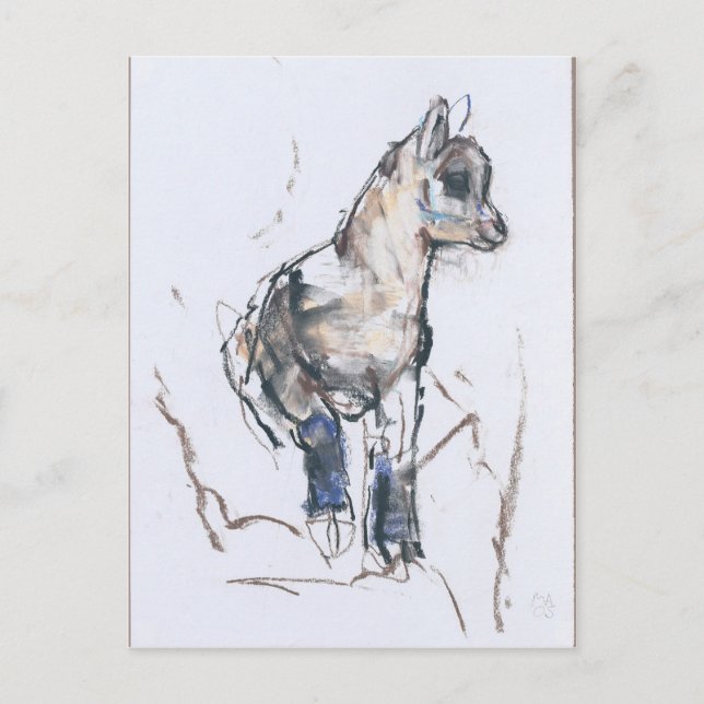 Ibex Kid Postcard (Front)