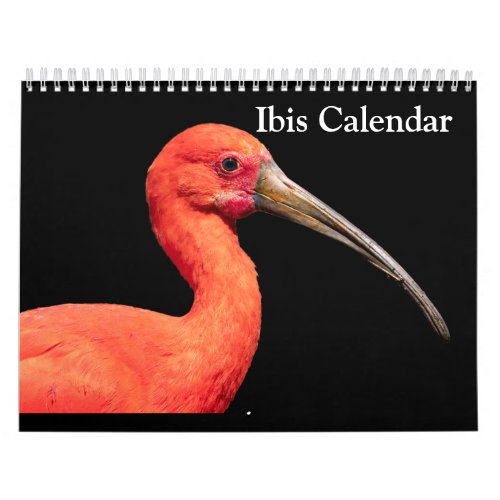 Ibis 2024 Calendar