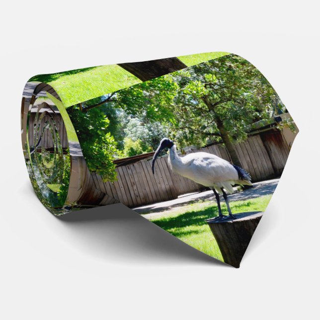 Ibis (Bin Chicken) On A Log, Neck Tie (Rolled)