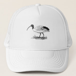 Ibis Bird Art Trucker Hat