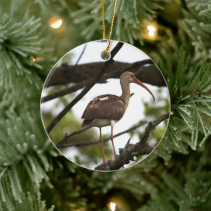Ibis Bird Ornament