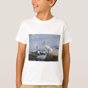 Ibis birds on the shore of Florida Bay T-Shirt