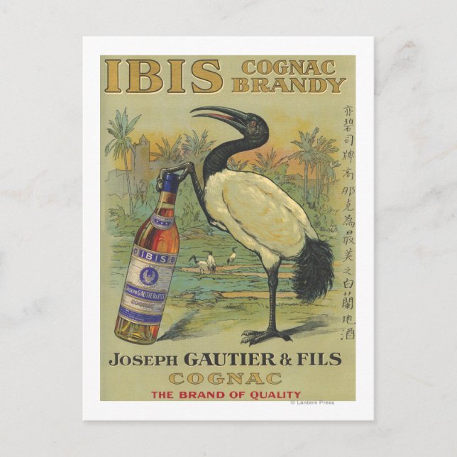 Ibis Cognac - Joseph Gautier & Fils Promo Postcard (Front)