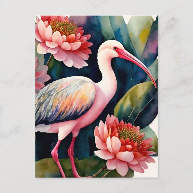 Ibis Floral Watercolor Art Postcard (Front)