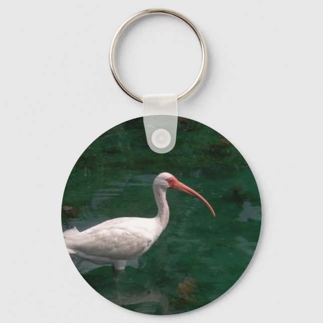 Ibis Keychain (Front)